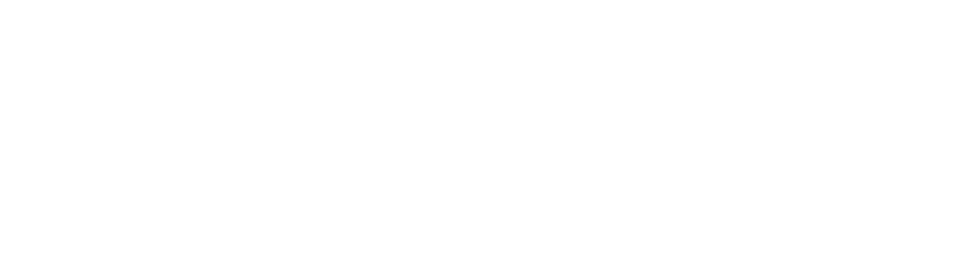 Elevant Holding Logo